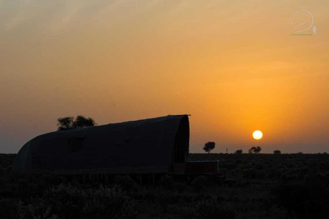 Amanya Camp1-Bed King Lion Tent in Amboseli NP Bagian luar foto