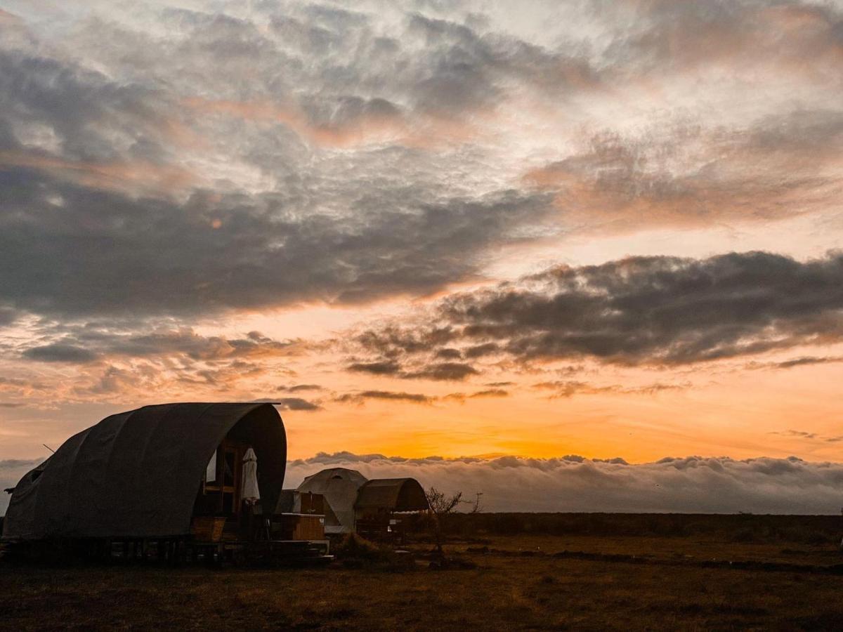 Amanya Camp1-Bed King Lion Tent in Amboseli NP Bagian luar foto